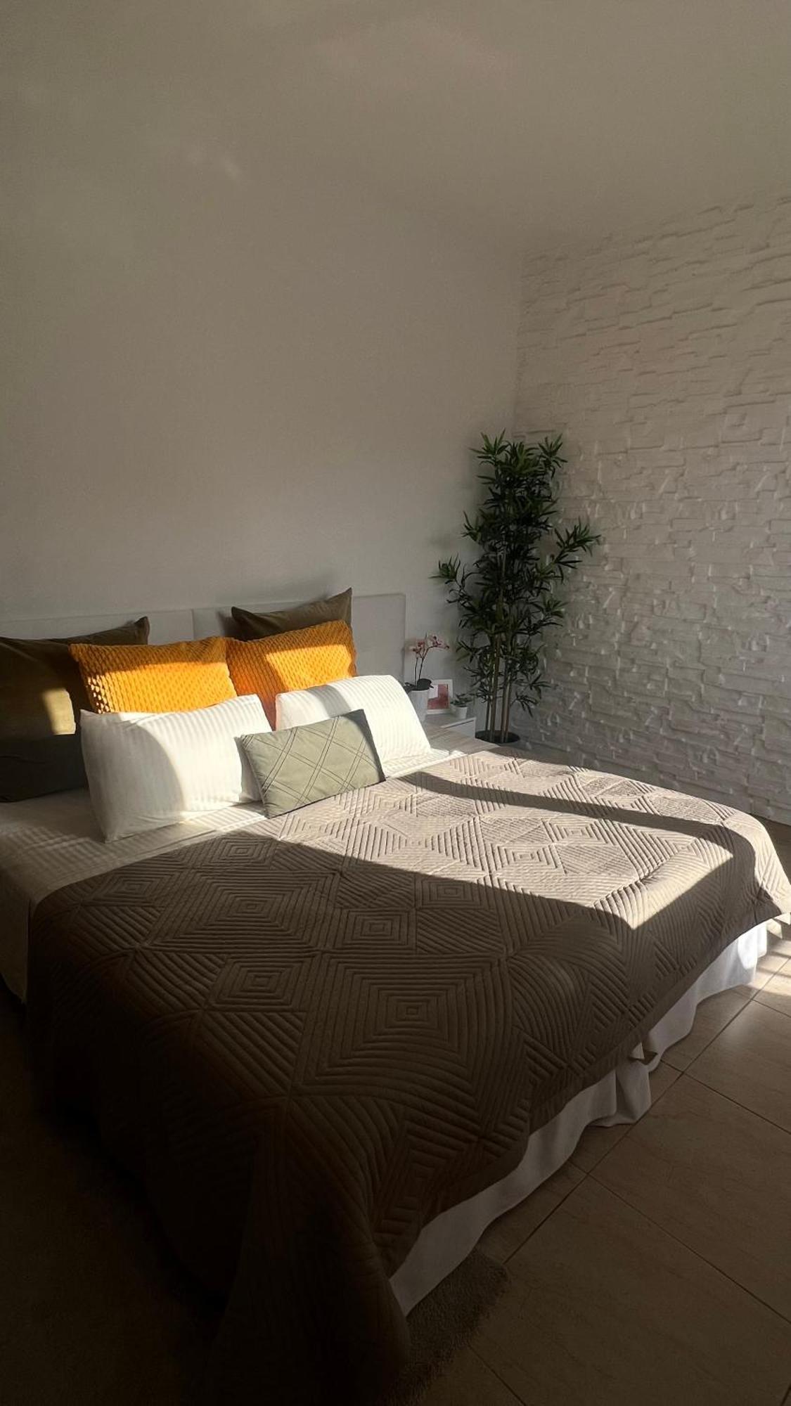 Tenerife Te Espera! Apartman Icod De Los Vinos Kültér fotó