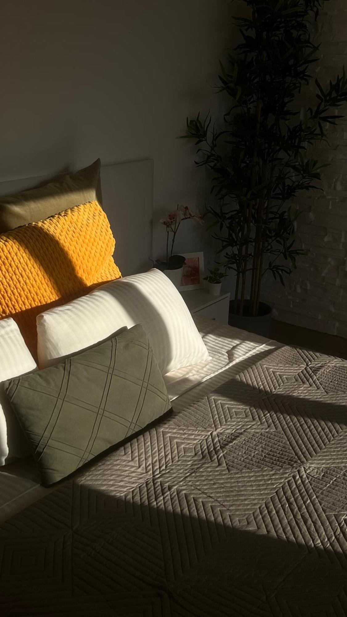 Tenerife Te Espera! Apartman Icod De Los Vinos Kültér fotó